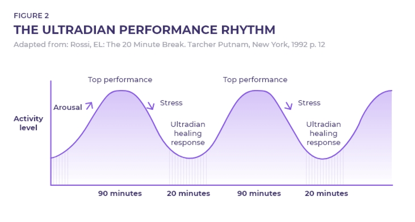 Performance for ultradian